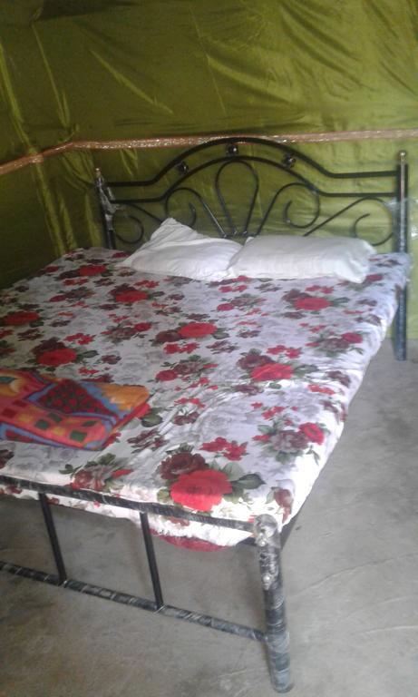 Shanti Guest House Arambol Dış mekan fotoğraf